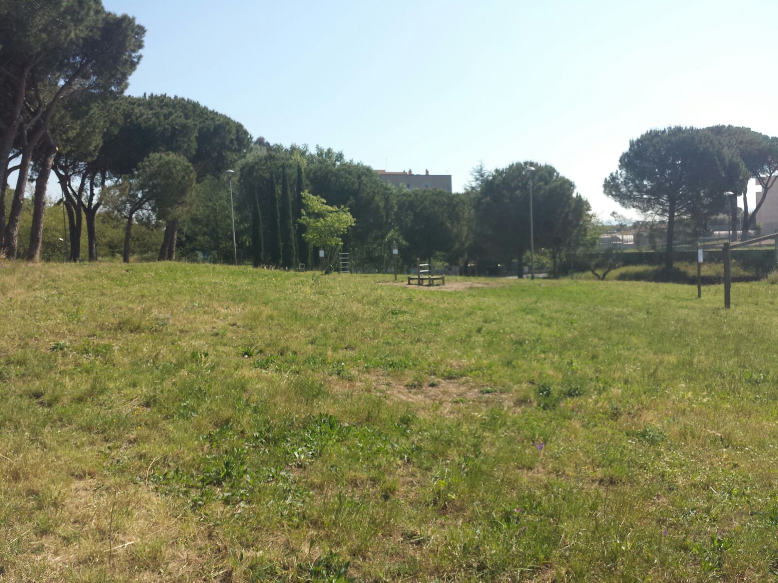 Finalmente arriva la falciatura delle erbacce...