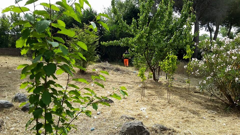 Spinaceto: tornano visibili resti di un’antica strada romana