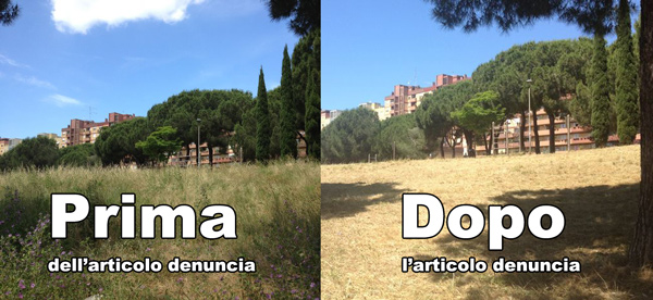 Dopo la segnalazione arriva il 1° taglio