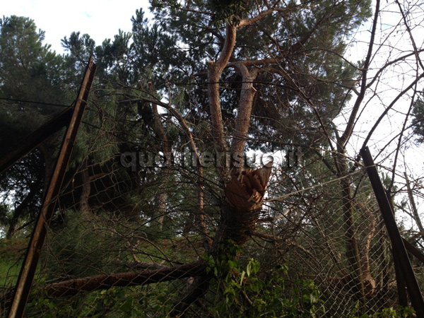 Scuole, aree verdi e sicurezza