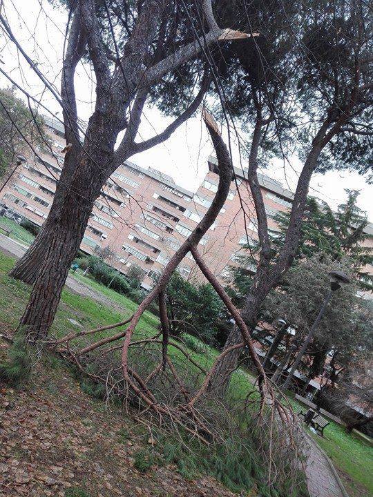 Quo vadis Movimento 5 Stelle