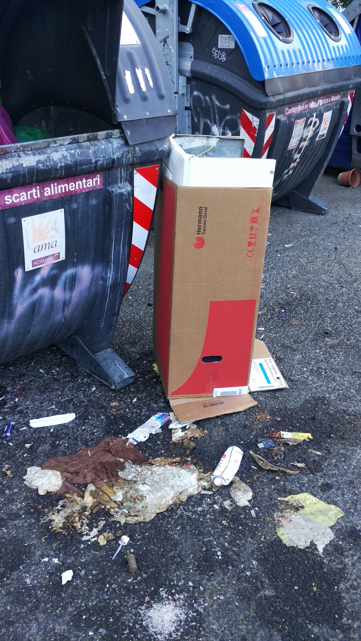 Non è solo colpa di AMA SpA
